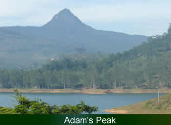 nature around Adams Peak